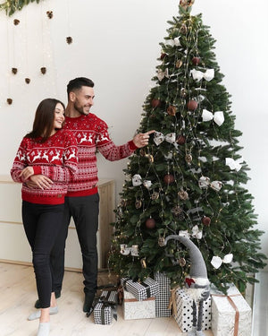 Cozy Sweater For Couples No2 Cinnamon Reindeer